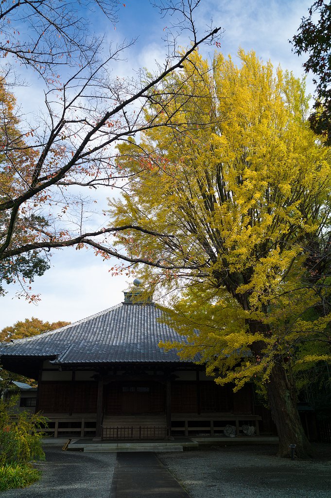ELMARIT-M 28mm F/2.8 ASPH