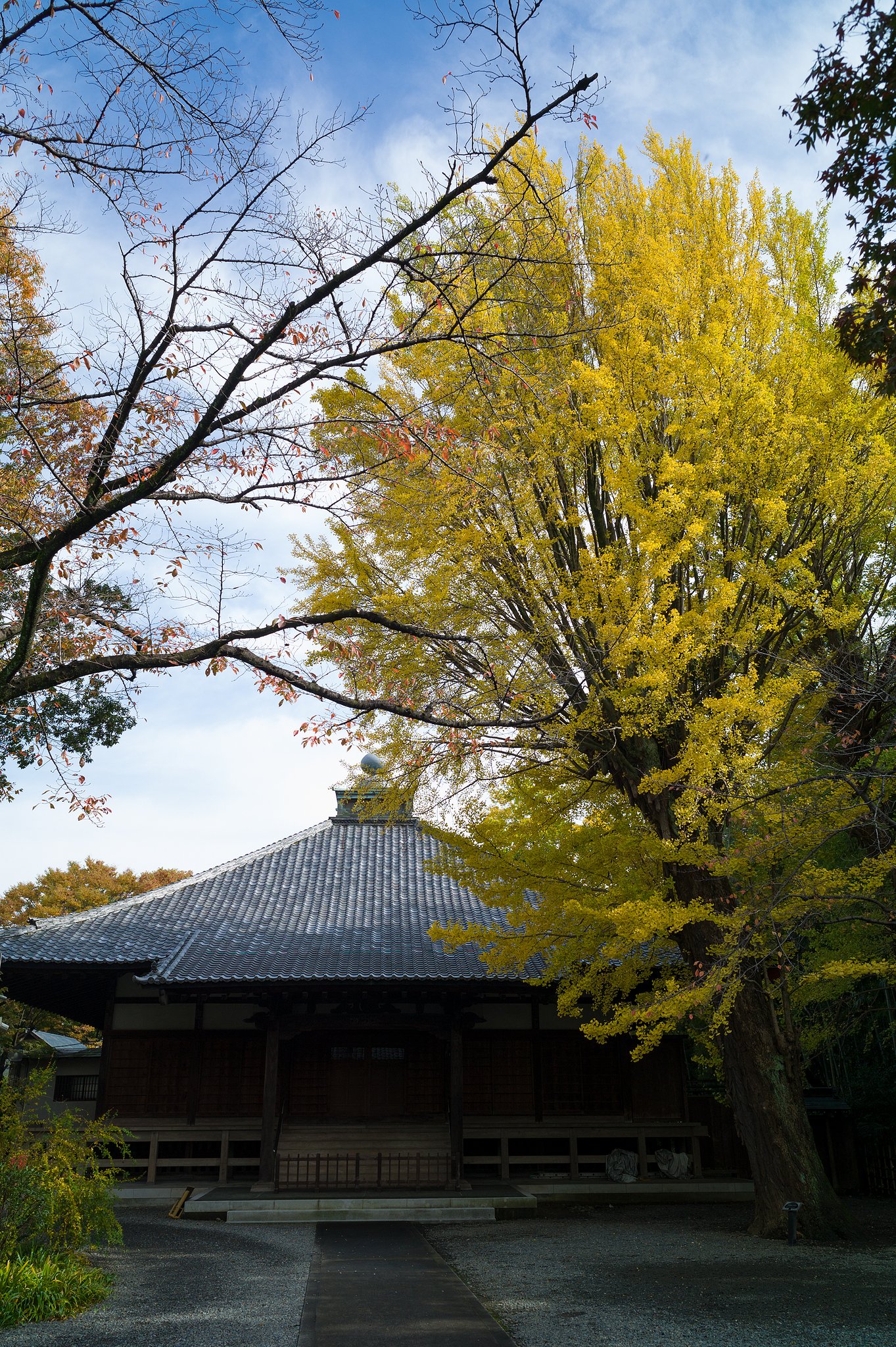 ELMARIT-M 28mm F/2.8 ASPH