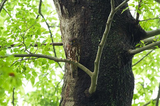 7月15日の写真
