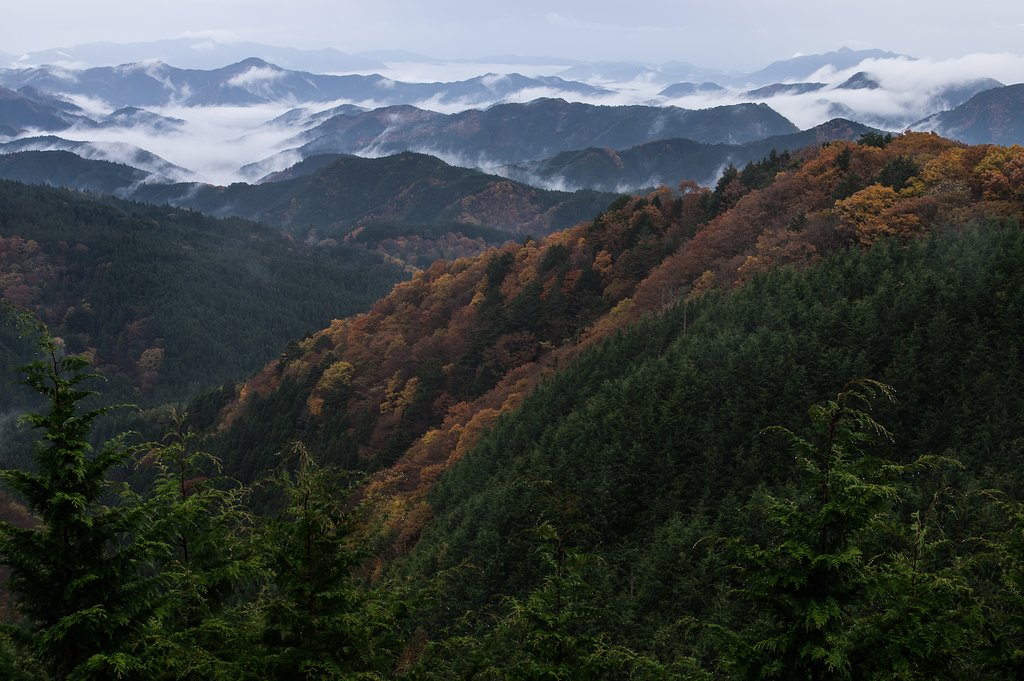 村雨の間に。。