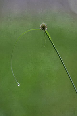 梅雨の合間