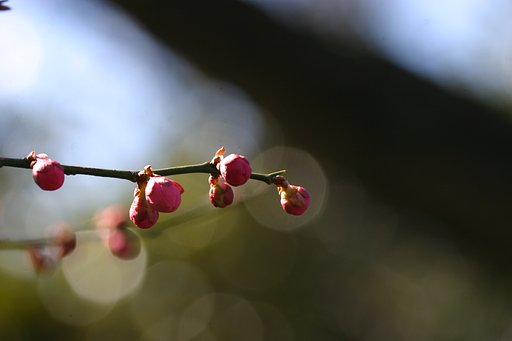 輪の中へ