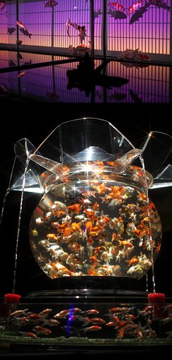 少し前のアートアクアリム展