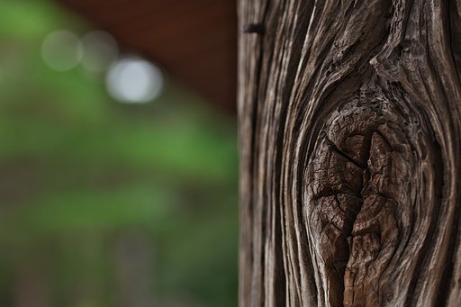 TAMRON SP 90mm F/2.8  F017