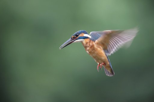 ホバリング