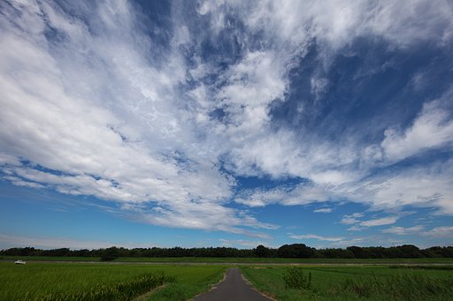 雲行き