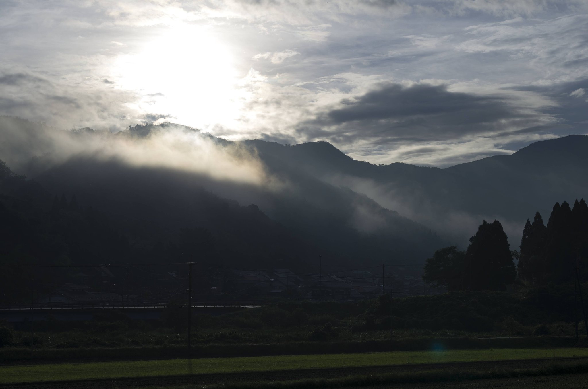梅雨の真っただ中