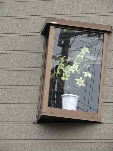 大好きな百合の花
