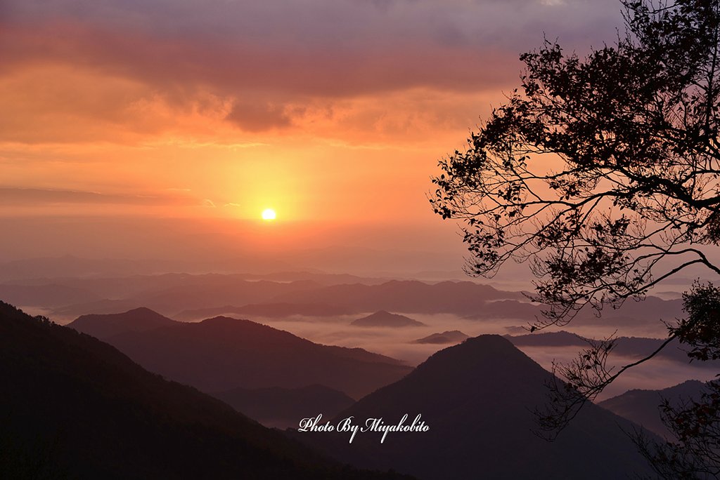 大江山（雲海）