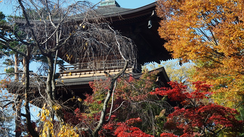 豪徳寺にて
