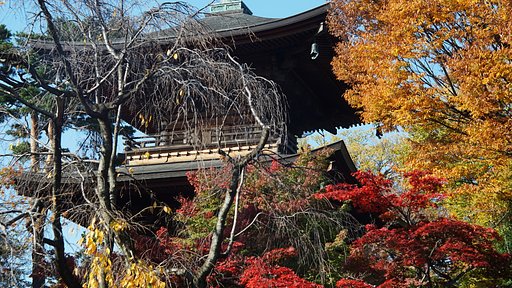 豪徳寺にて