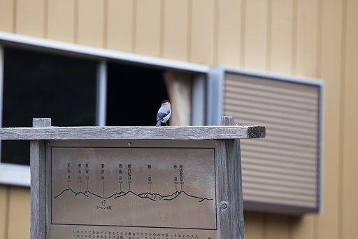 EF70-200 F2.8L