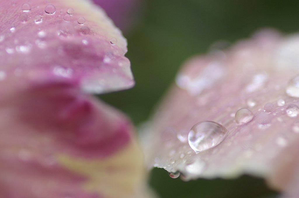 ある雨の日の出来事