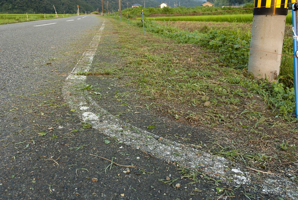 町道と電柵。