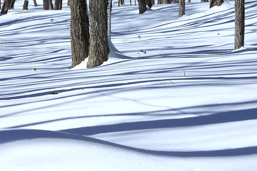 2月15日の写真