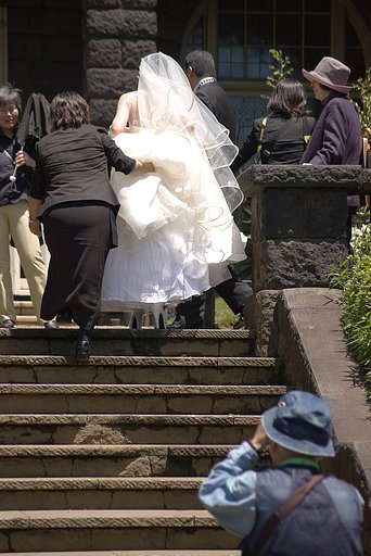 バラそっちのけ