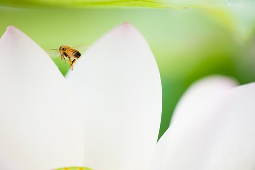 7月9日の写真
