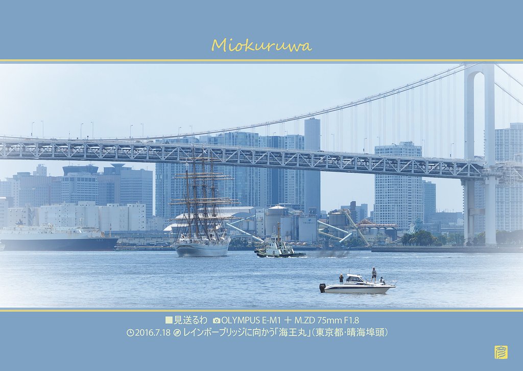 見送るわ