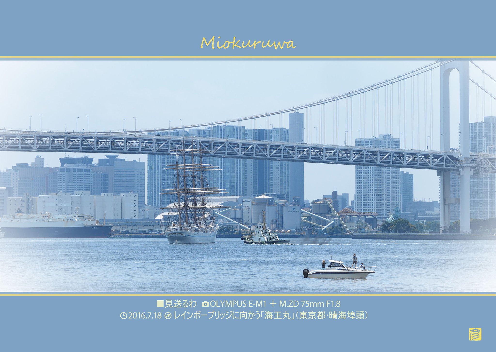 見送るわ
