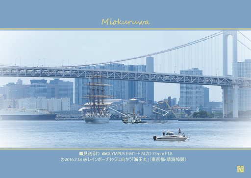 見送るわ