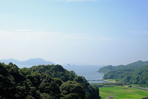 模倣