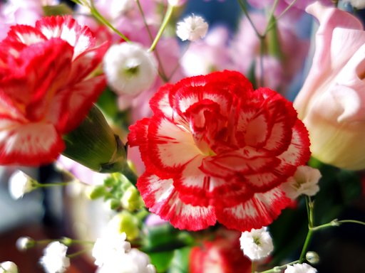 花束