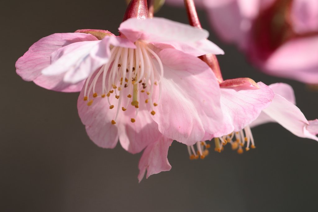 3月のお題は【題】