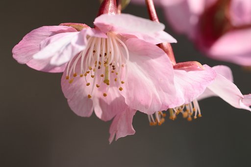 3月のお題は【題】