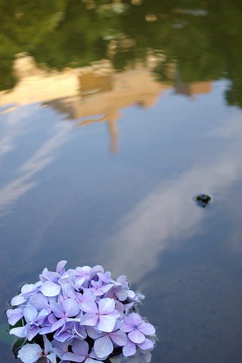 梅雨、小休止