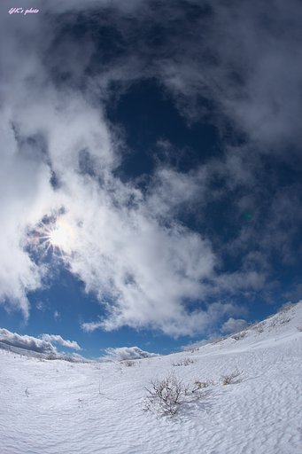 SIGMA 15mm F2.8EX FISHEYE