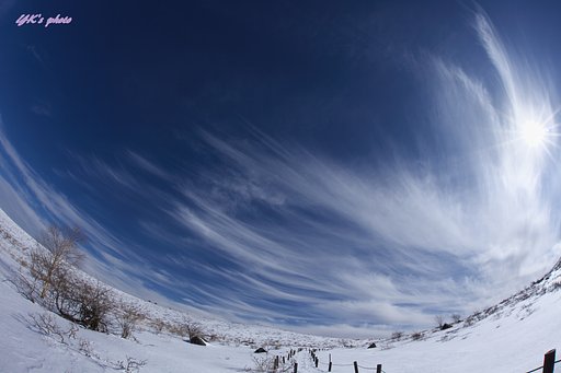 SIGMA 15mm F2.8EX FISHEYE