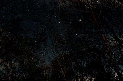眠れない夜Ⅱ