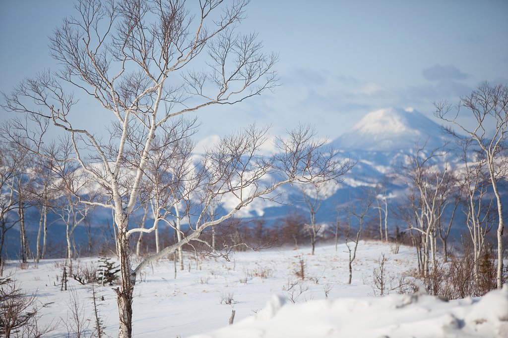 EF70-200F2.8L