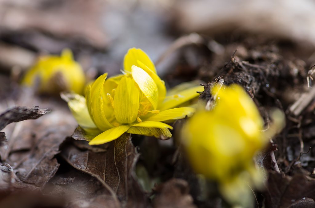 早春譜_駒ヶ根Ⅱ
