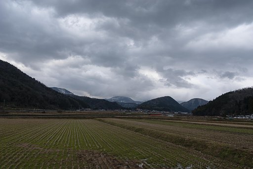 天候不順の朝！