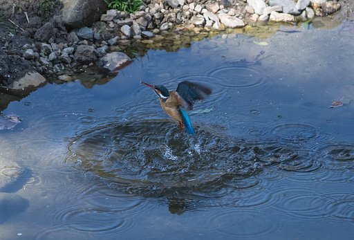 離水