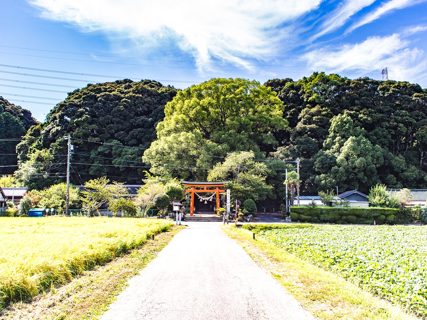 山中八幡宮