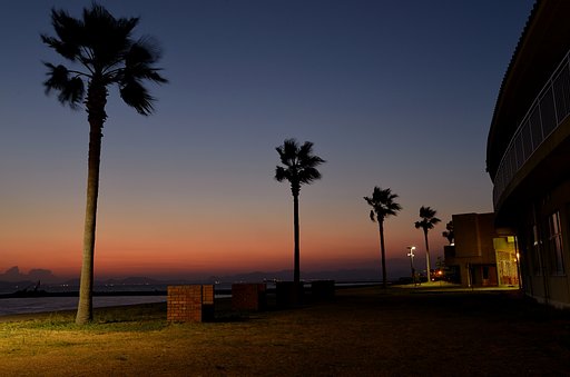 焼野海岸