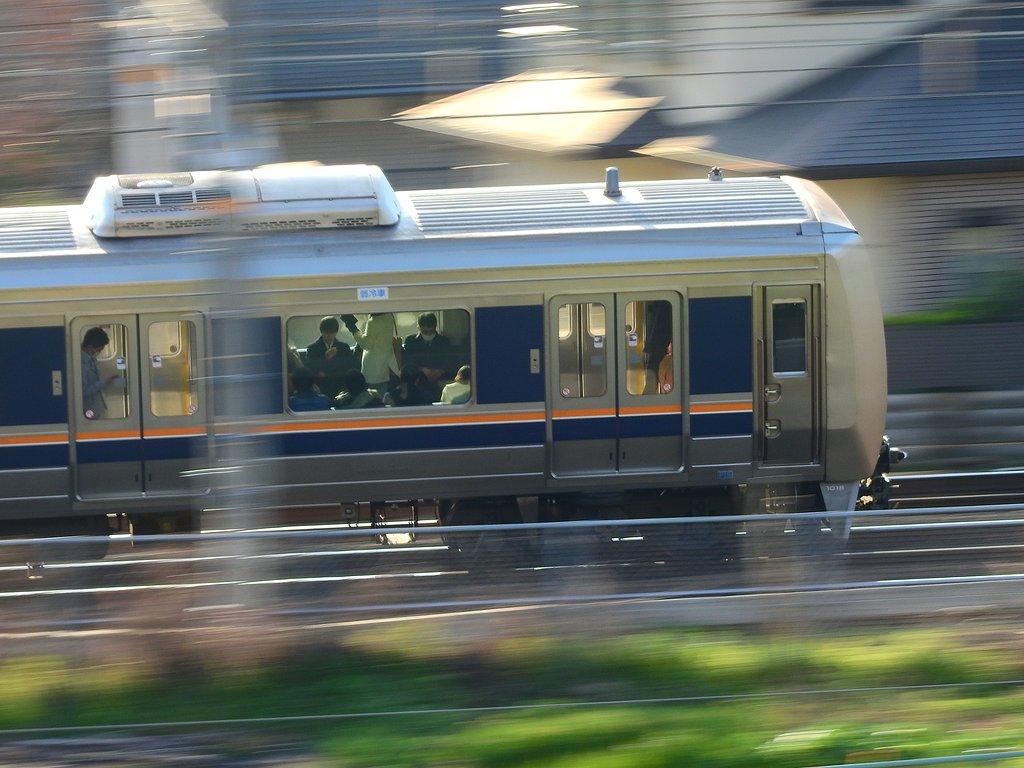 逆光ですが初撮り