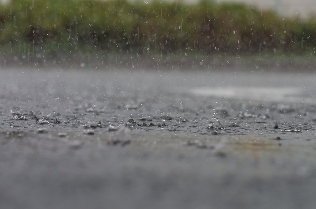 ９月の雨