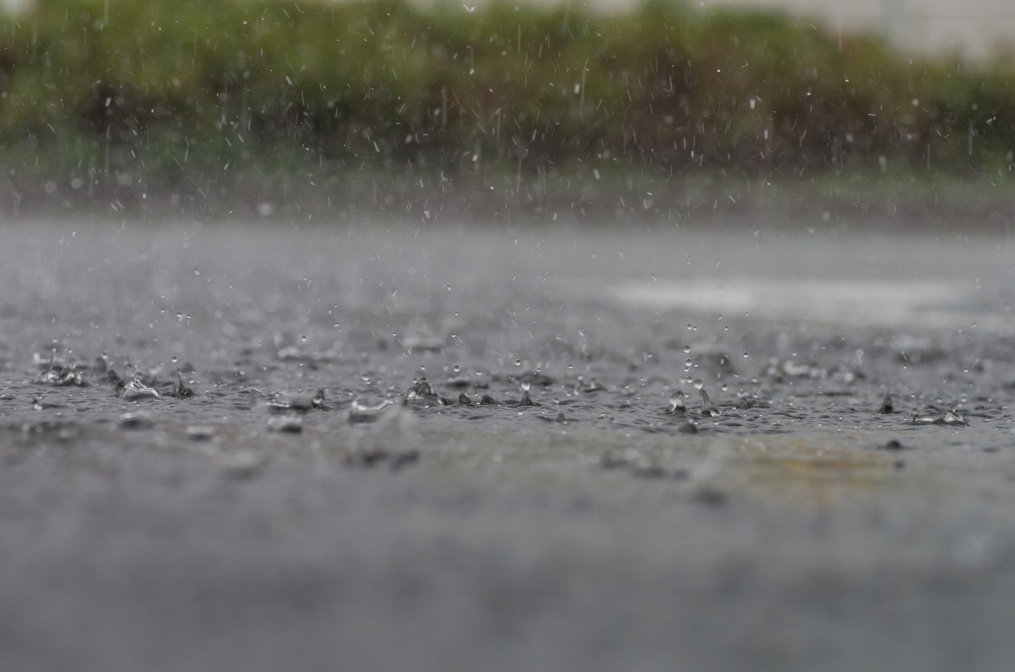 ９月の雨