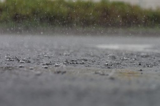 ９月の雨