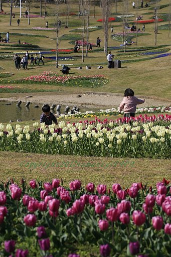 この花、きれいな～