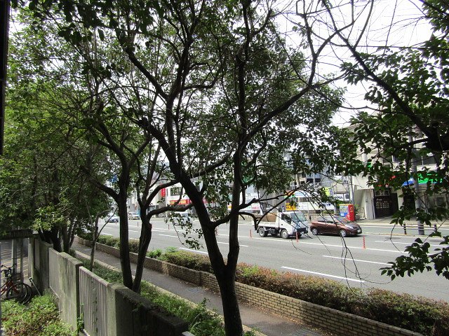 敷地内から国道を見てみました
