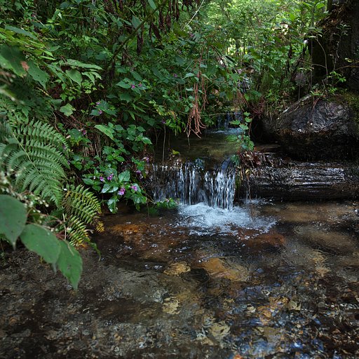 お山の冷水