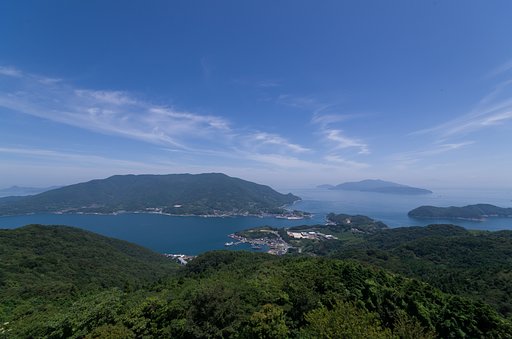 SIGMA 10-20mm F4-5.6 EX DC
