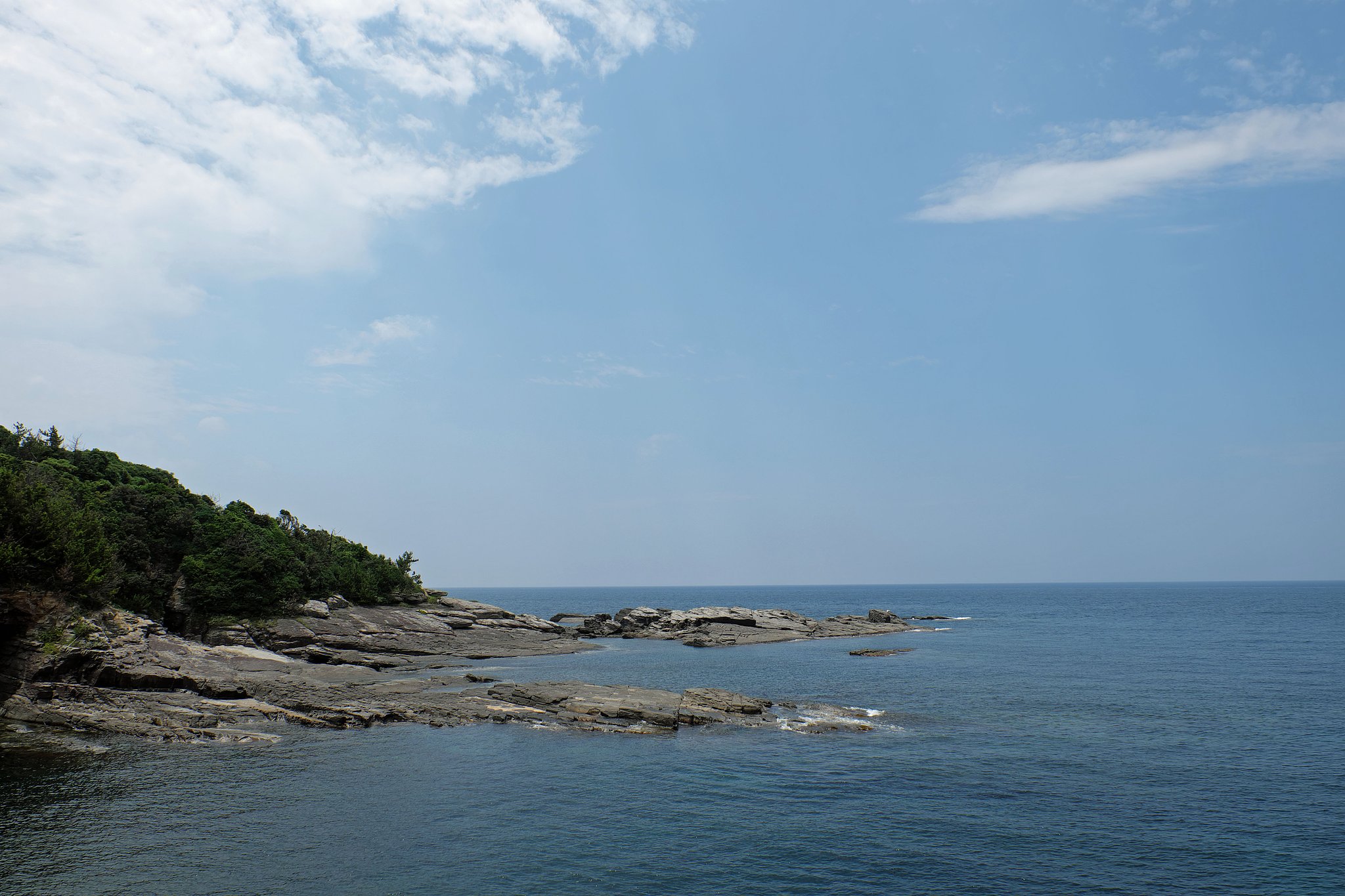 海