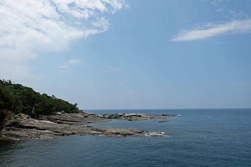 海