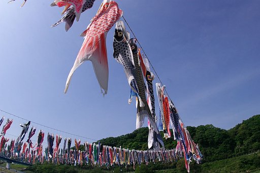 鯉のぼり