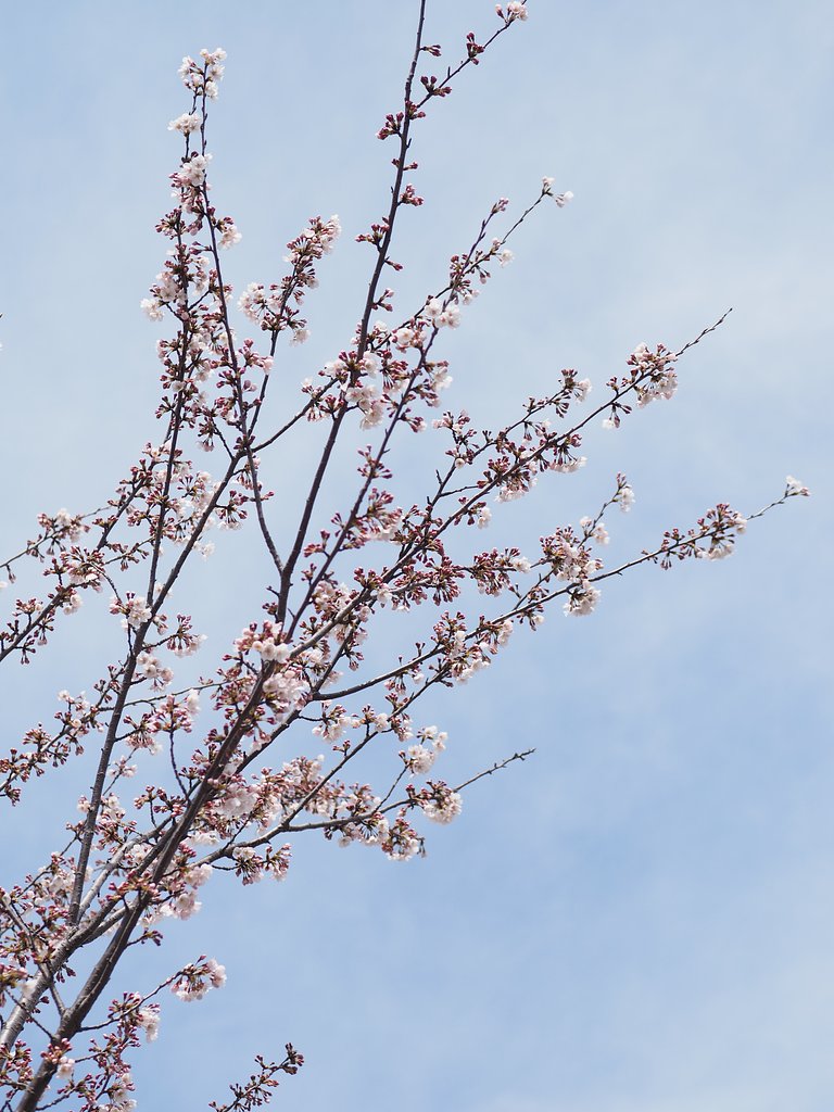 佳作の空